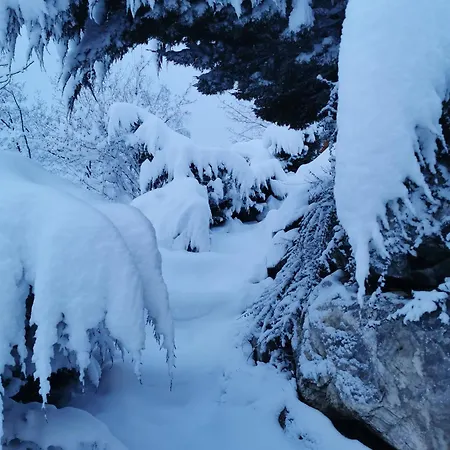 Campsite Caravane 4 Personnes Au D'aussois *